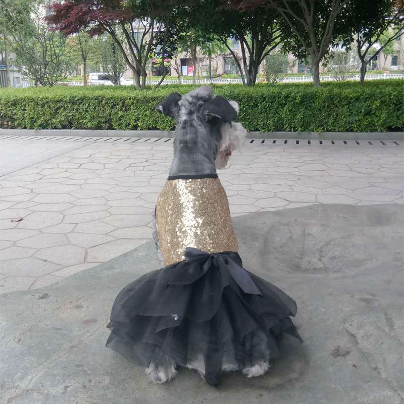 Bling Dog Jacket and Mesh Tootoo