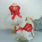 Bling Dog Jacket and Mesh Tootoo