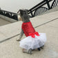 Bling Dog Jacket and Mesh Tootoo