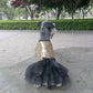 Bling Dog Jacket and Mesh Tootoo