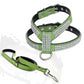 Rhinestone Pet Chest Harness and Leash Set